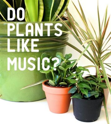 do plants grow faster with music - Exploring the Intriguing Correlation Between Music and Botanical Growth Patterns